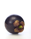 Asian tropical mangosteen fruit on white background Royalty Free Stock Photo