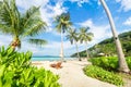 Asian tropical sandy beach paradise with tall palms in Thailand Royalty Free Stock Photo