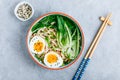 Asian Udon or Ramen noodles miso soup in bowl with Bok Choy and boiled egg Royalty Free Stock Photo