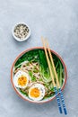 Asian Udon or Ramen noodles miso soup in bowl with Bok Choy and boiled egg Royalty Free Stock Photo