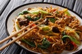 Asian vegetarian food udon noodles with baby bok choy, shiitake mushrooms, sesame and pepper close-up on a plate. horizontal Royalty Free Stock Photo