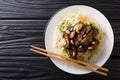 Asian vermicelli with fried eggplants and peanuts close-up on a plate. horizontal top view Royalty Free Stock Photo