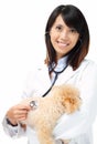 Asian veterinarian with poodle Royalty Free Stock Photo