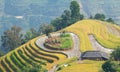 Asian village landscape in a rural area with paddy field