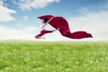 Asian woman ballerina holding red fabric making a big jump on blossom meadow. Royalty Free Stock Photo