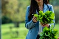 Asian Woman Botanist checking vegetable leaf in garden