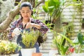 Asian woman care plant flower in garden. People hobby and freelance gardening indoor at home, nature garden background.