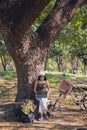 An Asian woman in casual wear sitting and working with laptop under the tree next to a white bicycle in a public park Royalty Free Stock Photo