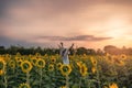 Asian woman cheerful raising hands in sunflower field at sunset