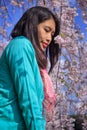 Asian Woman and Cherry blossom