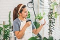 Asian woman is cleaning and care plants at home.Housework and botany concept