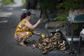 Asian woman cutting coconuts for the fruit market in a street of the Mekong region, Vietnam