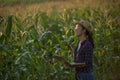 Asian woman farmer with digital tablet in corn field, Beautiful morning sunrise over the corn field. green corn field in Royalty Free Stock Photo