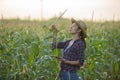 Asian woman farmer with digital tablet in corn field, Beautiful morning sunrise over the corn field. green corn field in Royalty Free Stock Photo