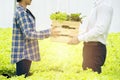 Asian woman farmer give wooden box and selling organic hydroponic fresh vegetables produce to young asian man customer in Royalty Free Stock Photo