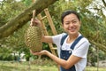 Asian woman farmer holding Durian is a king of fruit in Thailand Royalty Free Stock Photo