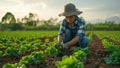 Asian woman farmer tending vegetable garden