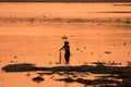 Asian Woman fishing in the river, silhouette at sunset Royalty Free Stock Photo