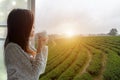 Asian woman fresh morning drinking hot tea and looking out of the window for see Tea Plantation and farm on sunny day. Royalty Free Stock Photo