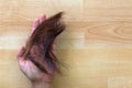 Asian woman hand holding bunch of trimmed cut off reddish brown