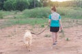 Asian woman with her golden retriever dog walking on the public park Royalty Free Stock Photo