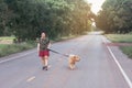 Asian woman with her golden retriever dog walking on the public road Royalty Free Stock Photo