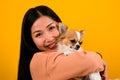 Asian woman with his chihuahua chihuahua dog lover The happiness of a girl who loves his dog The love of people and cute dogs