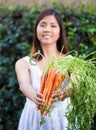 Asian woman holding a bunch of carrots Royalty Free Stock Photo