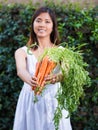 Asian woman holding a bunch of carrots Royalty Free Stock Photo