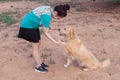 Asian woman holding the paw of a golden retriever dog, handshake, Friendship between human and dog
