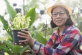 Asian woman holding pot plants in the Ornamental plant shop, Small business concept Royalty Free Stock Photo