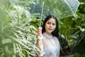 Asian woman holding transparent plastic umbrella in rainy day during stay outdoor at tropical forest with green leaf.