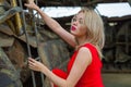 Asian woman on ladder Royalty Free Stock Photo