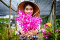 Asian farmers farm orchids. Royalty Free Stock Photo