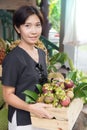 Asian woman with mangosteen fruit basket