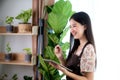 Asian woman ous computer tablet recieve online order from her customer in her home office Royalty Free Stock Photo