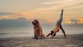 Asian woman performs yoga stretching exercises with dog at the beach. Golden Retriever lifestyle on summer Royalty Free Stock Photo