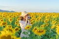 An Asian woman, a photographer, using a film camera to take photos on social media at full bloom sunflower field in travel Royalty Free Stock Photo