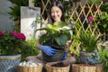 Asian woman plant a flower in her garden