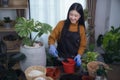 Asian woman plant a tree in her room in her condominium, this image can use for hobby