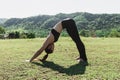 Asian woman practicing yoga Downward Facing Dog or Adho Mukha Svanasana Pose stretching exercises Royalty Free Stock Photo