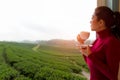 Asian woman put red sweater fresh morning drinking hot tea and looking out the window for see Tea farm on sunny day. Royalty Free Stock Photo