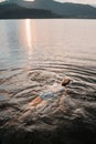 Asian woman relaxing in lake water floating on water surface. woman playing swimming in water in sunset open water. calm Royalty Free Stock Photo