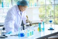 Asian woman scientist, researcher, technician, or student conducted research or experiment in laboratory Royalty Free Stock Photo