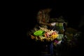 Asian woman selling street food at night: processed food, sausages and kebabs, Phnom Penh, Cambodia