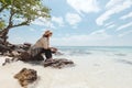 Asian woman sitting on the beach looking at the amazing sea and enjoying with beautiful nature in her vacation. Royalty Free Stock Photo