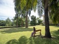 Asian woman sitting on bench under big tree in the park. Copy space provided. Royalty Free Stock Photo