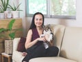 Asian woman sitting on couch in living room with her Chihuahua dog on lap smiling and looking at camera , stay home , social Royalty Free Stock Photo