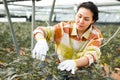 Female horticulturist maintaining garden in hothouse