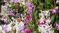 Asian woman surrounded by orchids Royalty Free Stock Photo